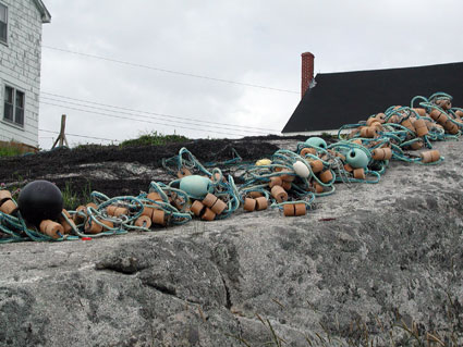 Peggy-Cove-nets-7.04.jpg