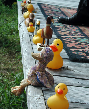 Wedding-ducks2.jpg