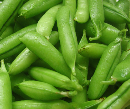 garden-peas-aug-04.jpg