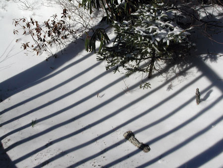 snow12.28.04.shadow.jpg