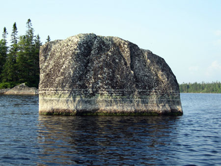 Pet-rock-2.jpg