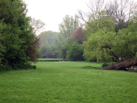 park2.jpg