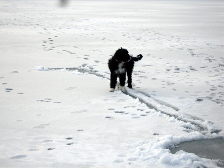 Lila-on-ice-1.jpg