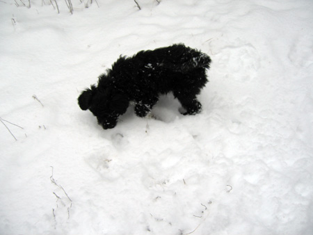 Lila-snow-2.jpg