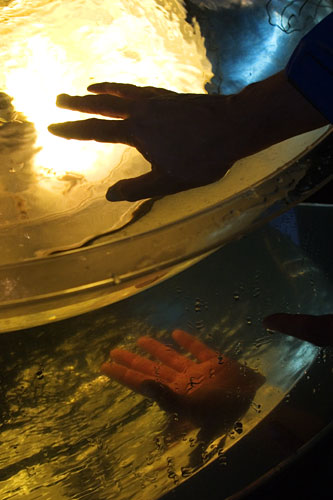 hand seen through water