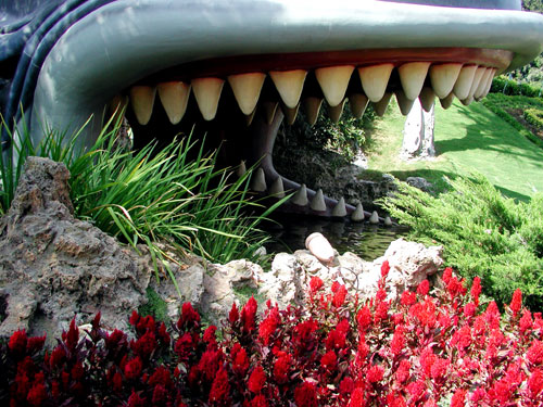 whale-teeth.jpg