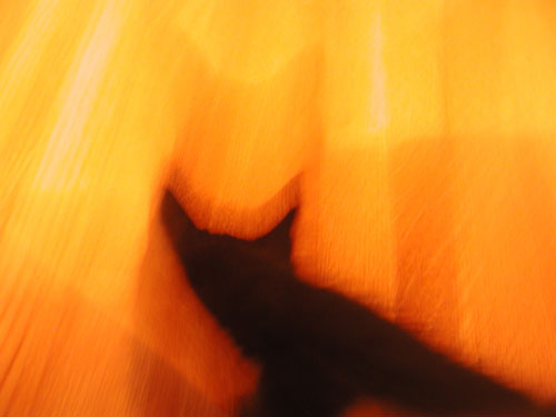 blur2.jpg