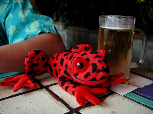frog-beer.jpg