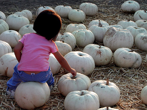 pumpkin-girl.jpg