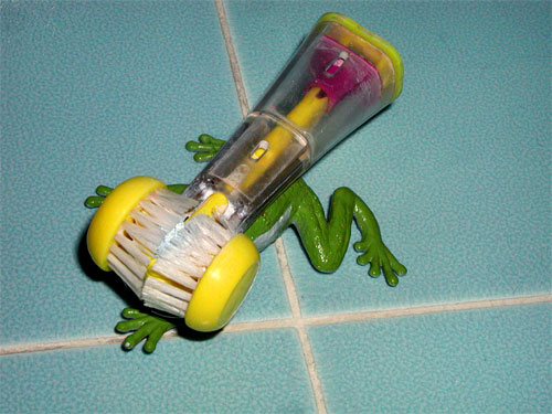 frog-toothbrush.jpg